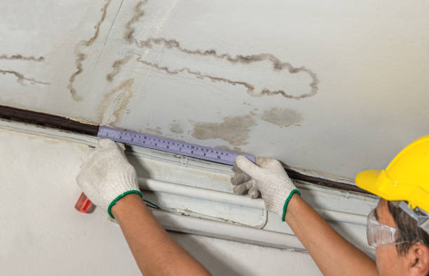 Reliable Mold Remediation contractor in Lucedale, MS by Water Damage Irwin